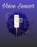 Voice Sensor